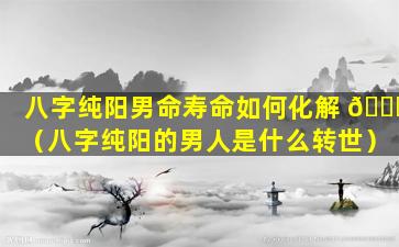 八字纯阳男命寿命如何化解 🐎 （八字纯阳的男人是什么转世）